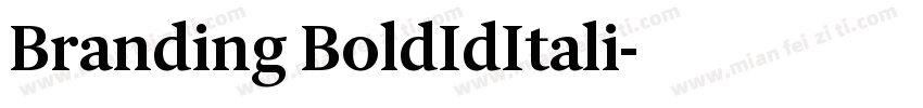 Branding BoldIdItali字体转换